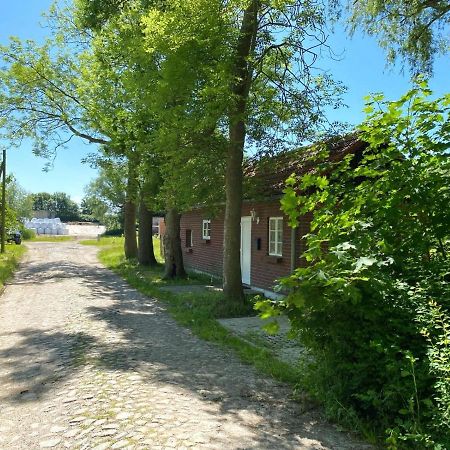 Hofgut Bisdamitz - Ferienhaus "Knoff" Exterior photo