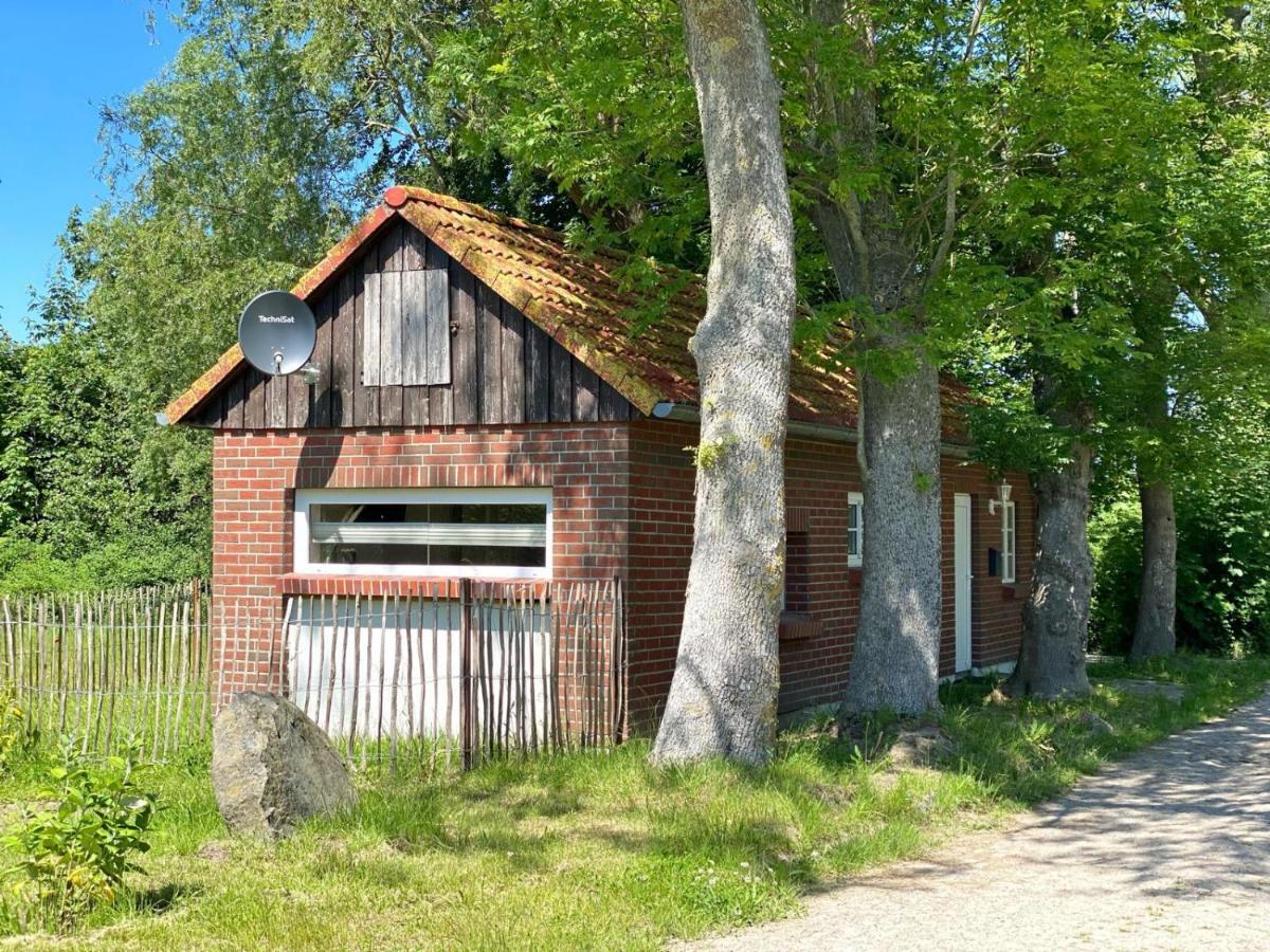 Hofgut Bisdamitz - Ferienhaus "Knoff" Exterior photo